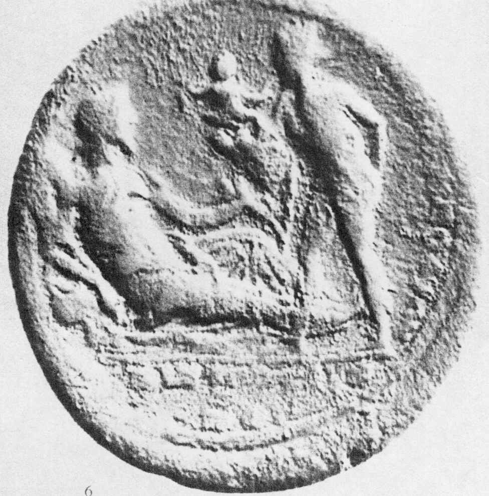 Tmolus 6.JPG